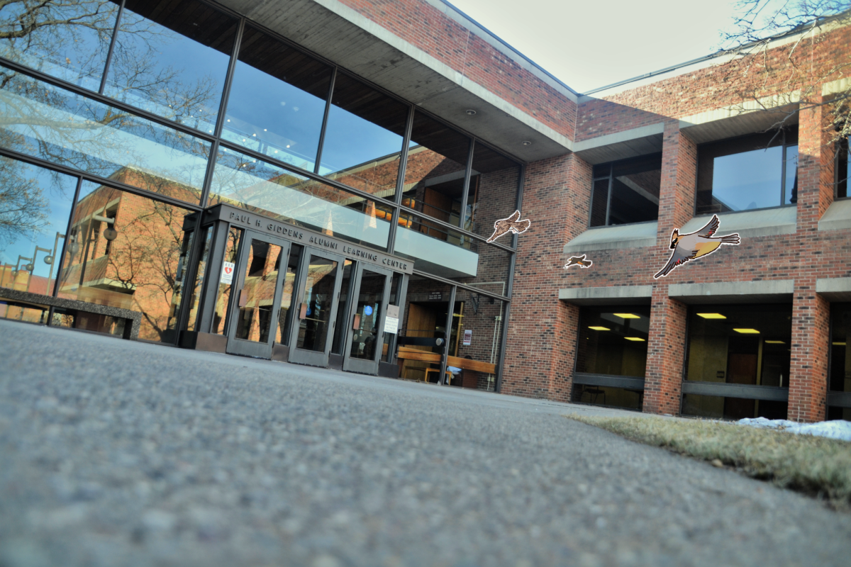 Students and faculty speak out regarding dead birds on campus