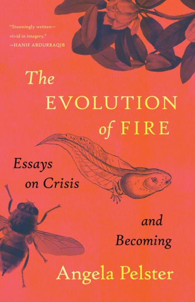 Angela Pelster's new collection of essays touches on several personal stories with overarching themes of fire connecting the essays. 